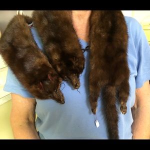 Vintage Mink Collar Stole